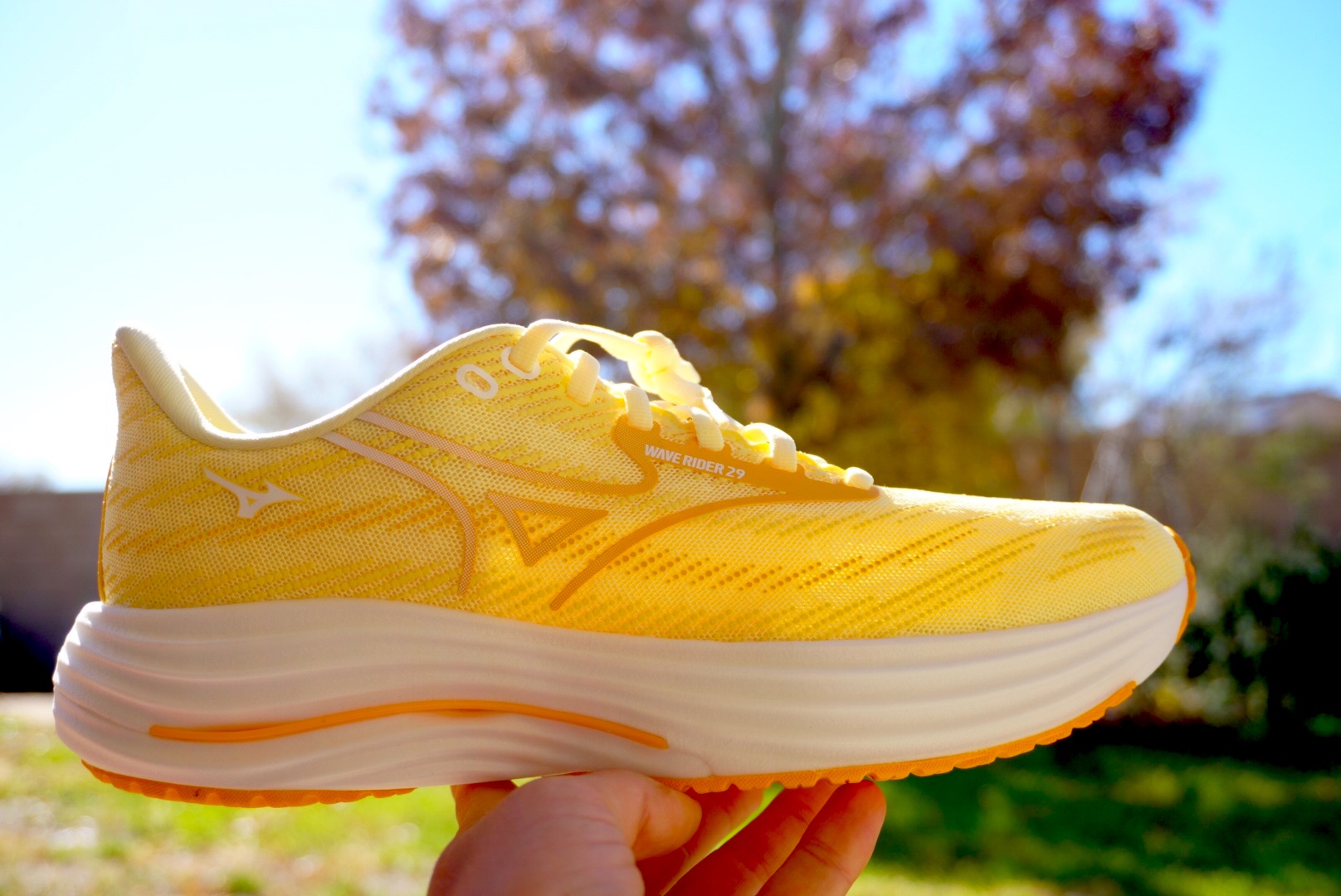 Mizuno Wave Rider 29 Shoe Review